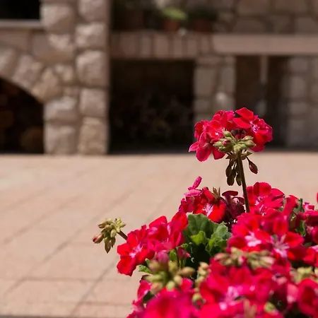 Διαμέρισμα Eva